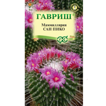Маммиллярия Толука (Кактус) Сан пико 2шт /Гавриш/