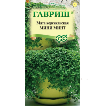 Мята корсиканская Мини Минт 3шт /Гавриш/