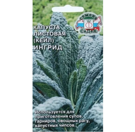 Капуста Ингрид (Кейл) листовая /Седек/