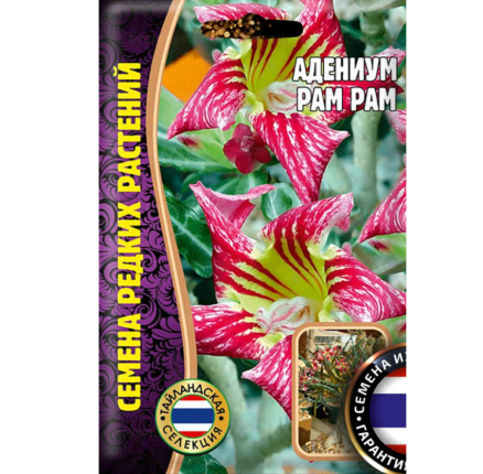 Адениум Pam Pam 3 шт. /Григорьев/