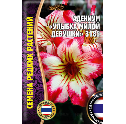 Адениум Улыбка Милой Девушки 3185  3 шт. /Григорьев/