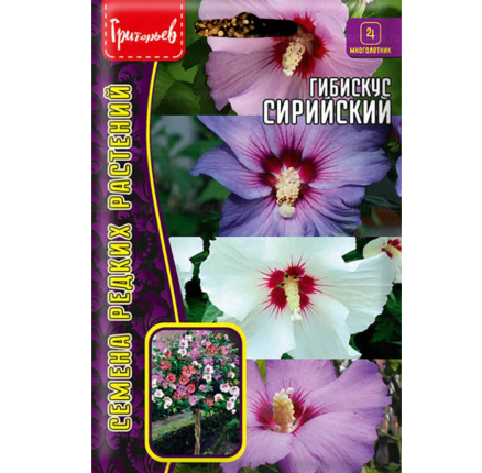 Гибискус Сирийский (7 шт) /Григорьев/