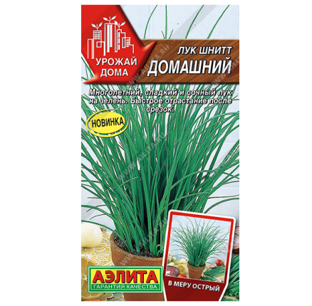 Лук шнитт Домашний /Аэлита/