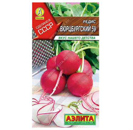 Редис Вюрцбургский 59 /Аэлита/