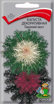 Капуста декоративная Павлиний хвост /Поиск/