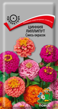 Цинния лиллипут Смесь окрасок /Поиск/