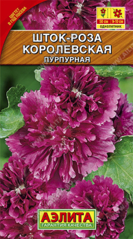 Шток-роза Королевская пурпурная /Аэлита/
