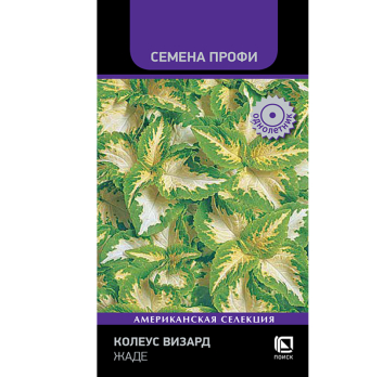 Колеус Визард Жаде (10шт) /Поиск/ Семена Профи