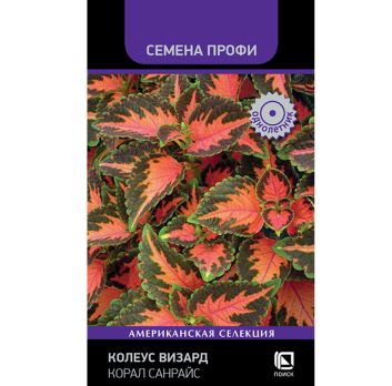 Колеус Визард Корал Санрайс (10шт) /Поиск/ Семена Профи