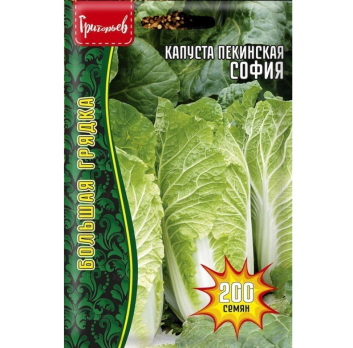 Капуста пекинская София (200шт) /Григорьев/