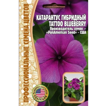 Катарантус Tattoo Blueberry F1 (5шт) /Григорьев/