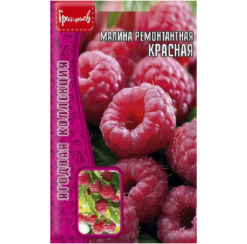 Малина ремонтантная Красная (0,05г) /Григорьев/