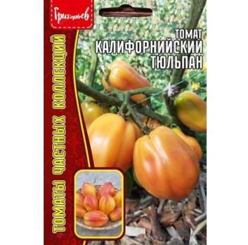 Томат Калифорнийский Тюльпан (5шт) /Григорьев/