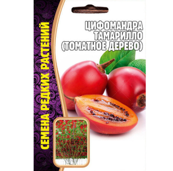 Цифомандра Тамарилло (Томатное дерево) (5шт) /Григорьев/