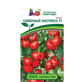 Томат Северный Экспресс (0,05г) /Партнер/