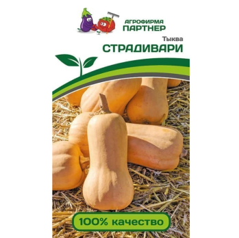 Тыква Страдивари (10шт) /Партнер/
