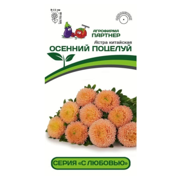 Астра китайская Осенний Поцелуй (5шт) /Партнер/