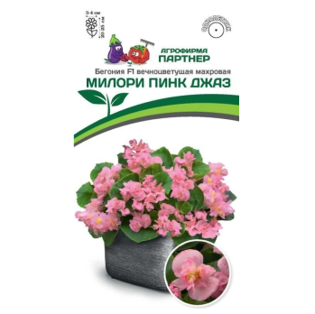 Бегония вечноцветущая махровая Милори F1 Пинк Джаз (5шт) /Партнер/