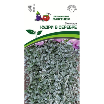 Дихондра серебристая Кудри В Серебре (4 шт) /Партнер/