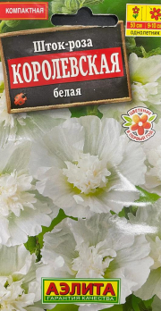 Шток-роза Королевская белая /Аэлита/