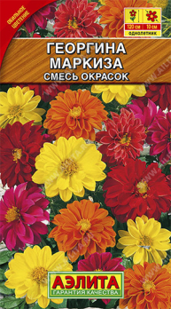 Георгина махровая Маркиза Смесь окрасок (Нидерланды) /Аэлита/