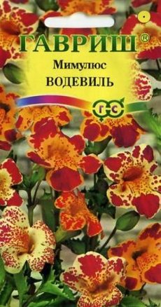 Мимулюс Водевиль смесь /Гавриш/