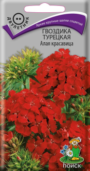 Гвоздика Турецкая Алая красавица /Поиск/