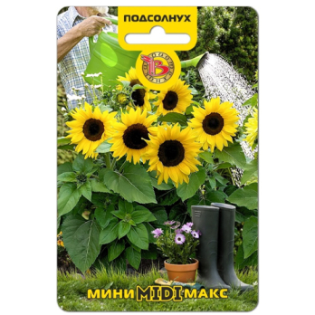 Подсолнух Мини-Макс Миди F /Биотехника/
