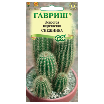 Эспостоа шерстистая Снежинка /Гавриш/