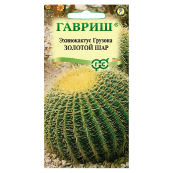 Эхинокактус Грузона Золотой шар /Гавриш/