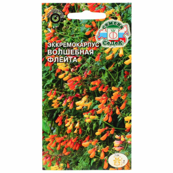 Эккремокарпус Волшебная флейта /Седек/