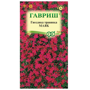 Гвоздика травянка Маяк /Гавриш/