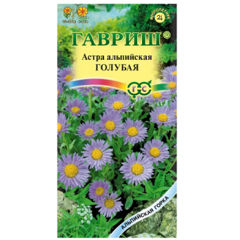 Астра Голубая, альпийская /Гавриш/