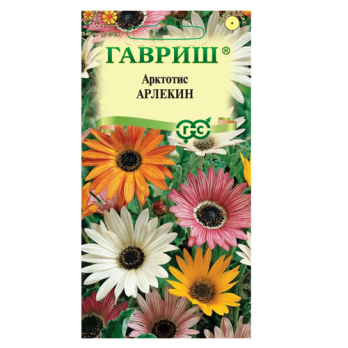 Арктотис Арлекин /Гавриш/