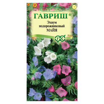 Эхиум Майя /Гавриш/