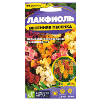 Лакфиоль Весенняя песенка (3шт) /Семена Алтая/