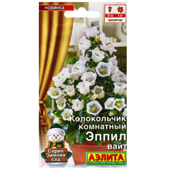 Колокольчик комнатный Эппил вайт /Аэлита/