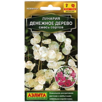 Лунария Денежное дерево, смесь сортов /Аэлита/