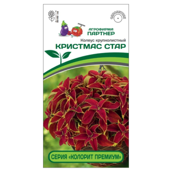 Колеус шлемниковидный Колорит Премиум Кристмас Стар (5шт) /Партнер/