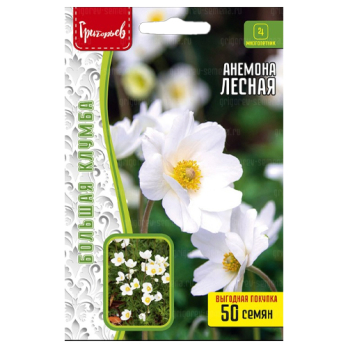 Анемона Лесная (Ветреница) (50шт) /Григорьев/