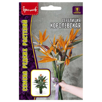 Стрелиция Королевская (3шт) /Григорьев/