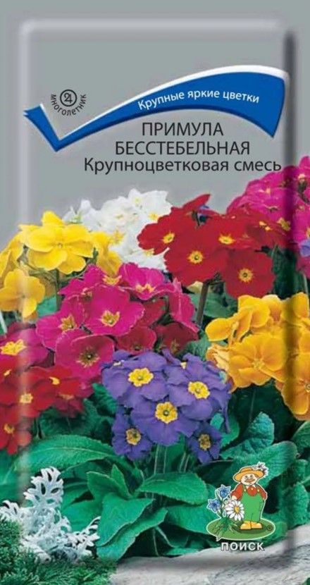 Примула бесстебельная Крупноцветковая смесь /Поиск/