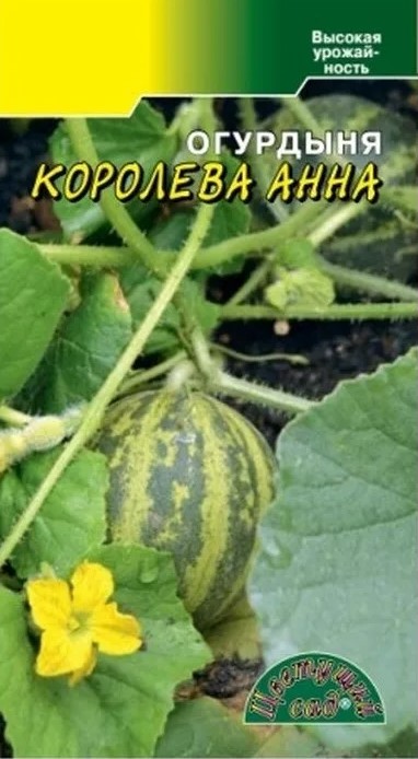 Огурдыня Королева Анна /Цветущий сад/