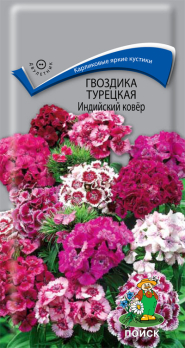Гвоздика Турецкая Индийский ковёр (0,3 г) /Поиск/