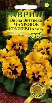 Виола Виттрока Махровое кружево желтая F1 /Гавриш/