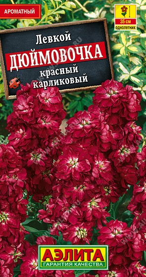 Левкой седой карликовый Дюймовочка красный/Аэлита/