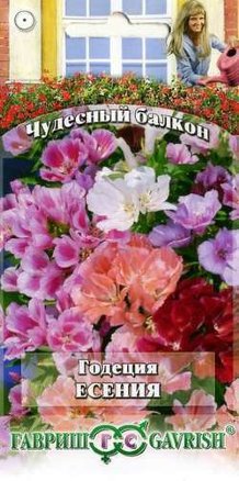 Годеция Есения низкая смесь /Гавриш/ Серия Чудесный балкон