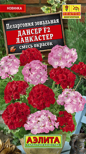 Пеларгония Дансер F2 Ланкастер смесь окрасок /Аэлита/
