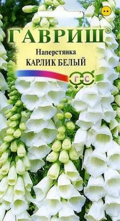 Наперстянка Карлик белый /Гавриш/