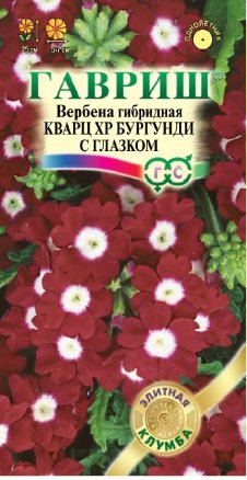 Вербена гибридная Кварц ХР Бургунди с глазком /Гавриш/